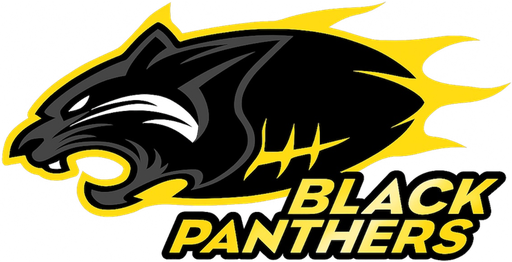 BLACK PANTHERS